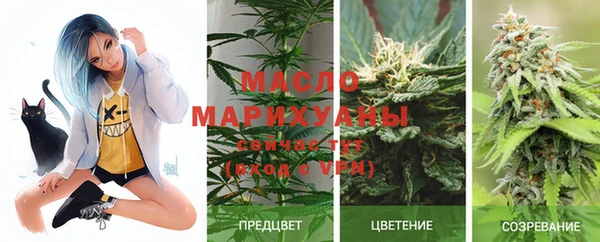 сатива Арсеньев