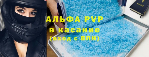 сатива Арсеньев