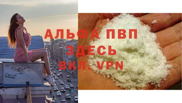 сатива Арсеньев
